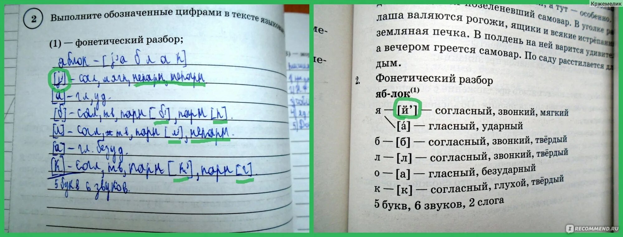 Фонетический анализ слова всеми впр 5. Фонетический разбор слова вниз 5 класс ВПР по русскому.