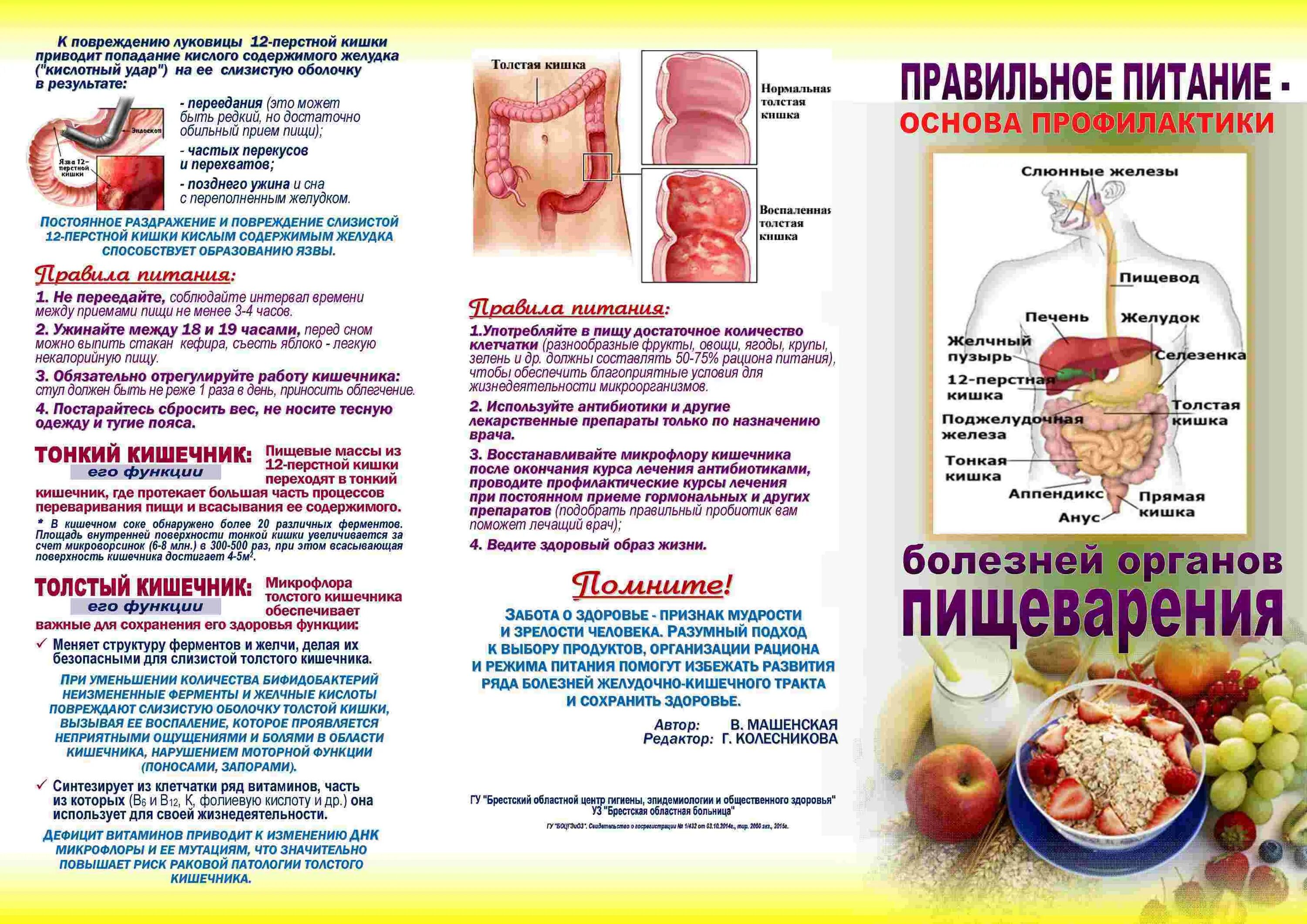 Буклет желудочно кишечные заболевания. Буклет при язвенной болезни желудка. Язвенная болезнь желудка питание буклет. Памятка для пациента с язвенной болезнью желудка питания.