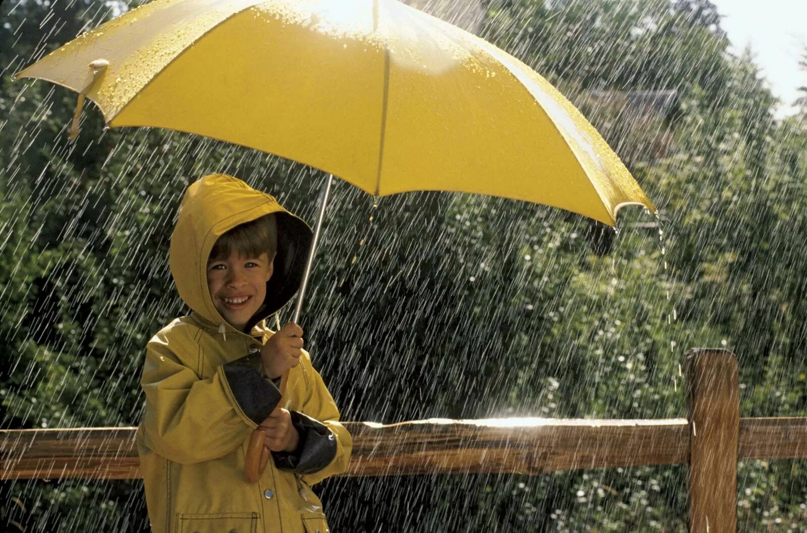 The day the rains came. Дети под зонтом. Мальчик с зонтом. Мальчик под зонтиком. Дождь мальчик.