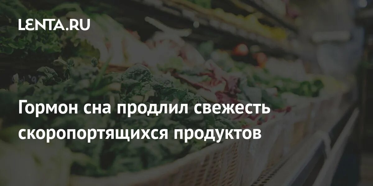 Гормон сна для свежести продуктов.