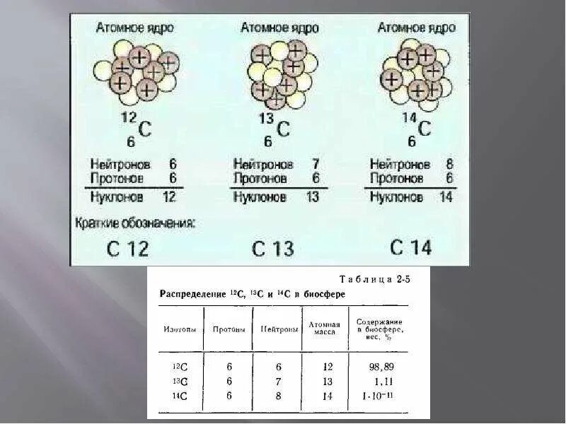 Молярная масса изотопа углерода. Состав ядра изотопа углерода 12. Состав изотопа углерода. Изотопы углерода таблица. Сколько нейтронов в изотопе углерода