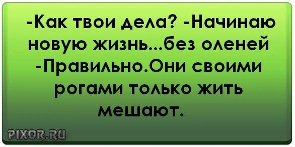 Статусы про новую жизнь с чистого листа. Начинаю жизнь с чистого листа статусы. Начинаю новую жизнь с чистого листа статусы. Цитаты про новую жизнь с чистого листа со смыслом.