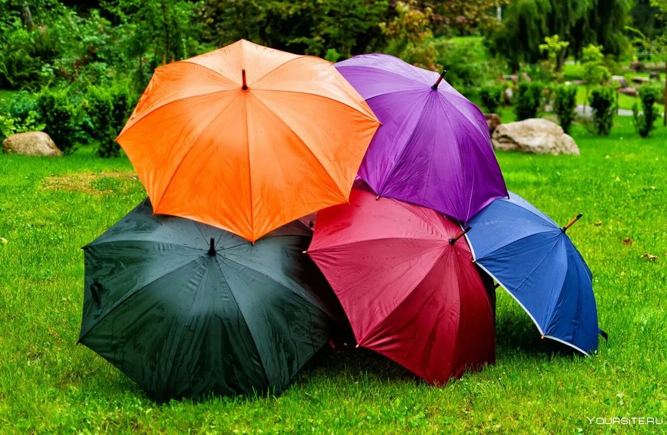 Первые зонтики. Зонтик. Разноцветные зонтики. Зонтики яркие. Разноцветный зонт.