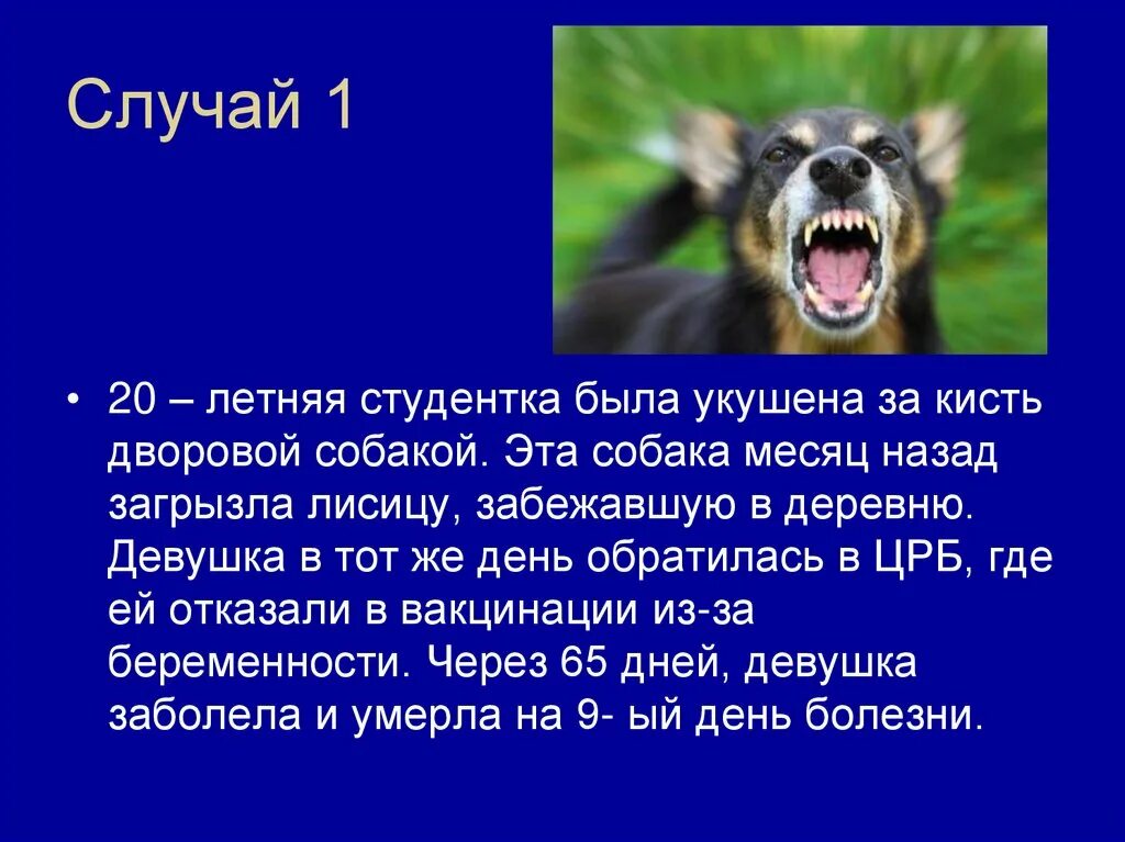 Презентация на тему бешенство животных. Укусить человека во сне