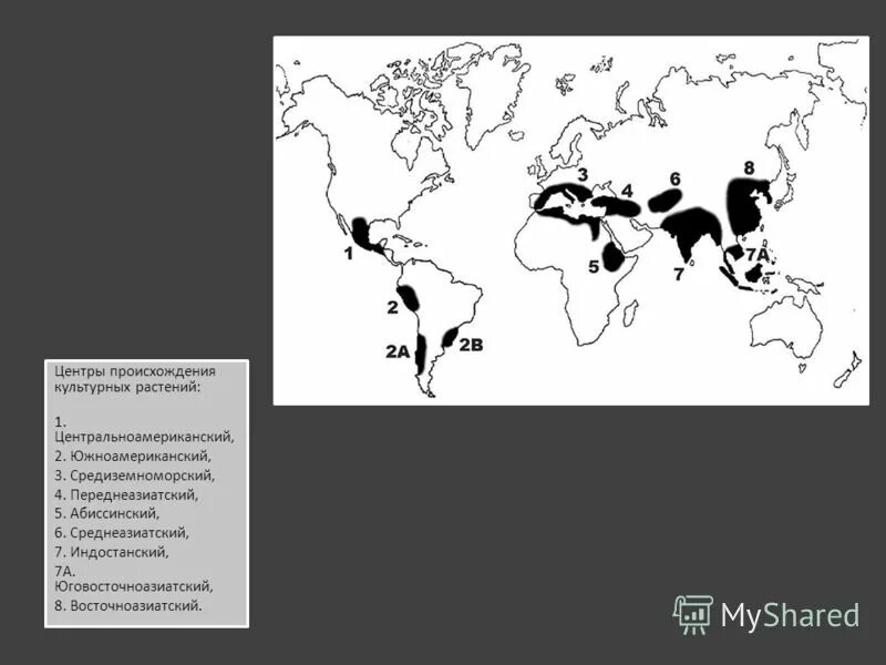 Юго западноазиатский центр происхождения культурных. Переднеазиатский центр происхождения культурных растений. Центральноамериканский центр происхождения растений. Центры происхождения культурных растений карта. Средиземноморский центр происхождения культурных растений на карте.