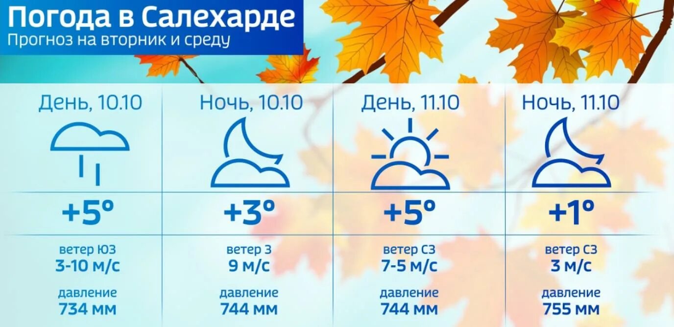 Прогноз погоды на декабрь салехард