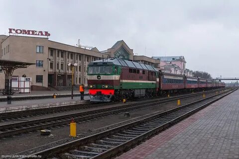 Спб беларусь