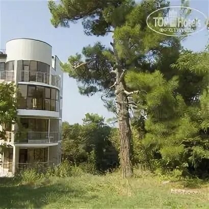 Факел дивноморское 2025. Дивноморск факел санаторий. санаторий факел дивноморское территория.