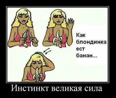 Пошлый Демотиватор - 52 фото и картинок