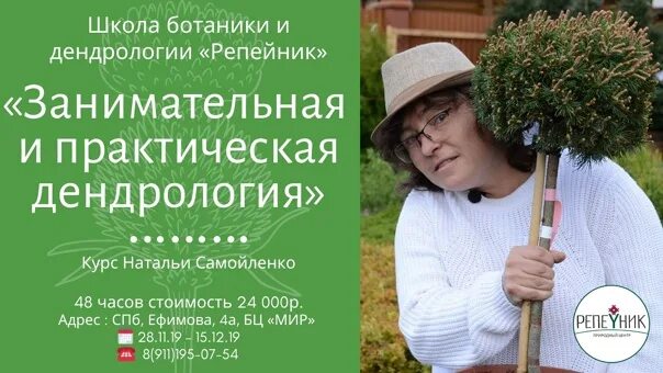 Репейник садовый центр. Наталья самойленко репейник. репейник питомник. репейник природный центр.