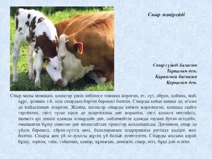 Babewatch 2 порно фильмін қараңыз