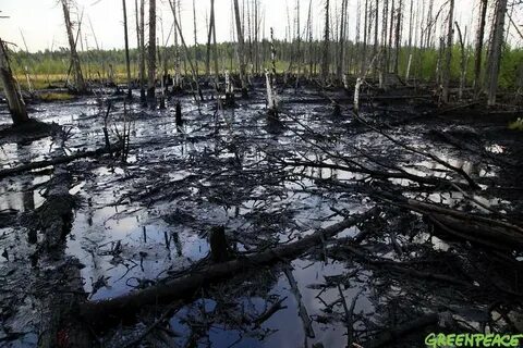 нефть в природе