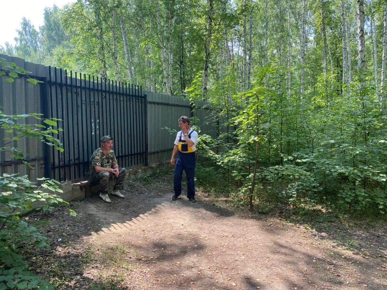 Заборы в озерах озеры. Коровий пляж Увильды. Забор у озера. Забор вокруг озера. Забор Увильды.