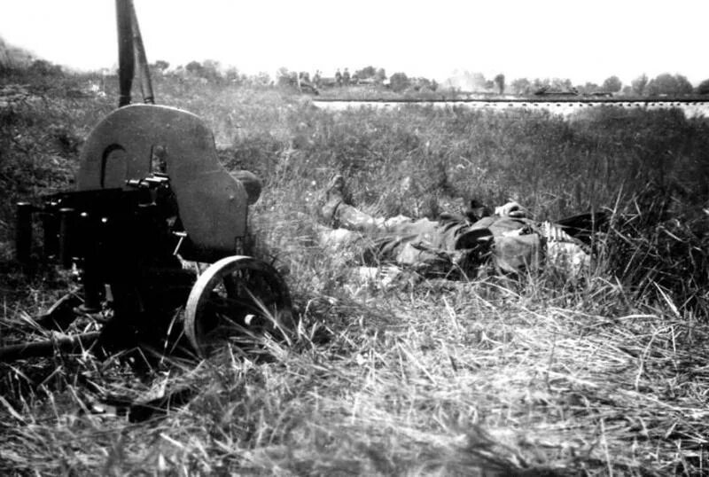 Ржев болота. Фотографии с поля боя 1941-1945.