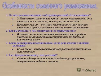 В чем преимущество семенных растений перед споровыми