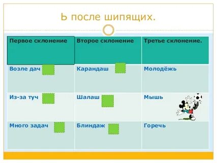 Слова 3 склонения на шипящую