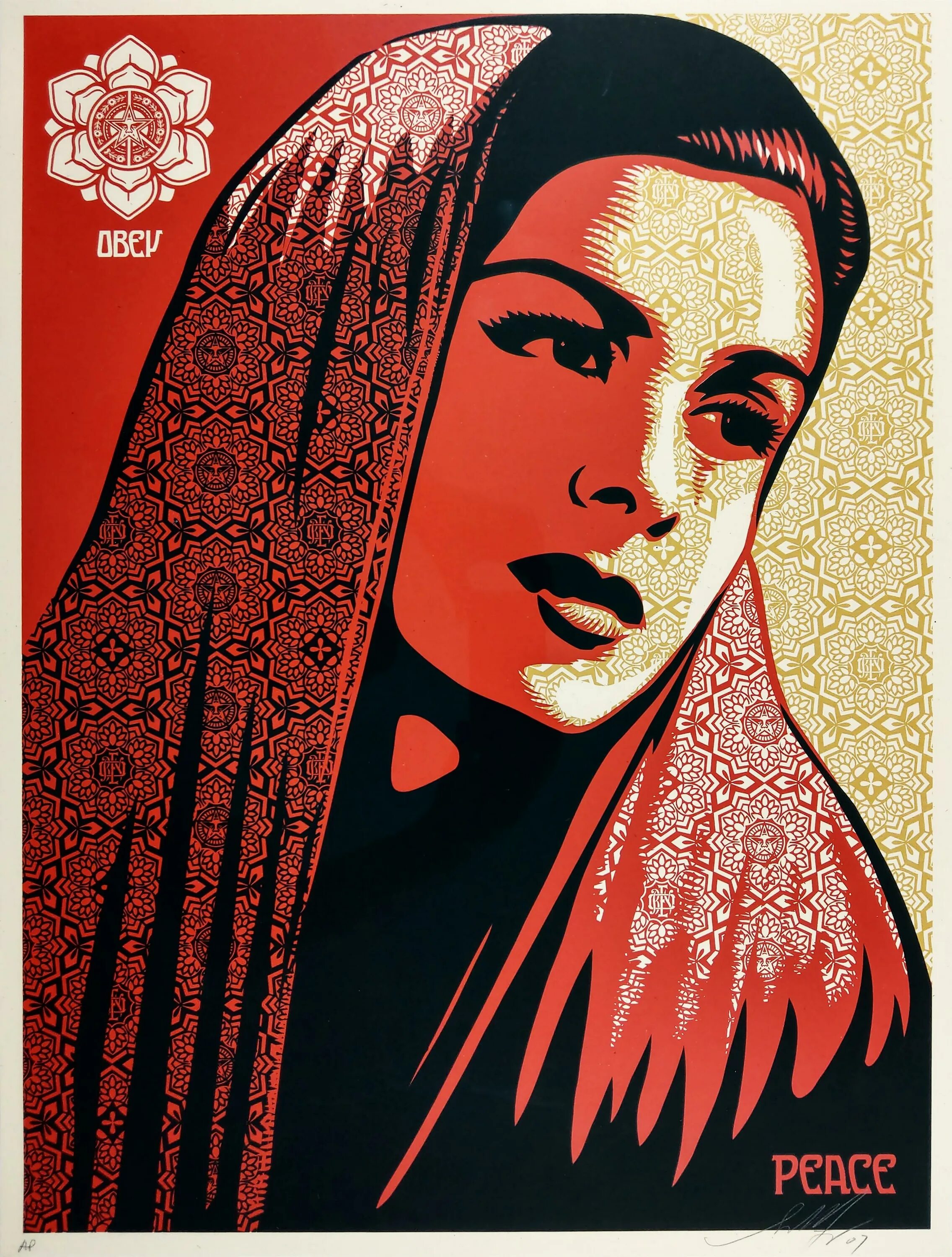 Фрэнк Шепард Фейри. Shepard Fairey художник. Шепард Фейри художник. Шепард Фейри граффити. Шепард фейри