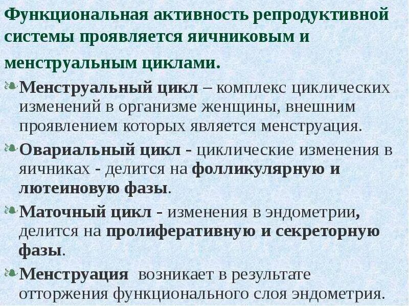 Циклические изменения в организме женщины. Функциональная структура репродуктивной системы. Цикличность деятельности репродуктивной системы. Циклические изменения в репродуктивной системе женщины.