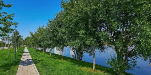Плехановские пруды