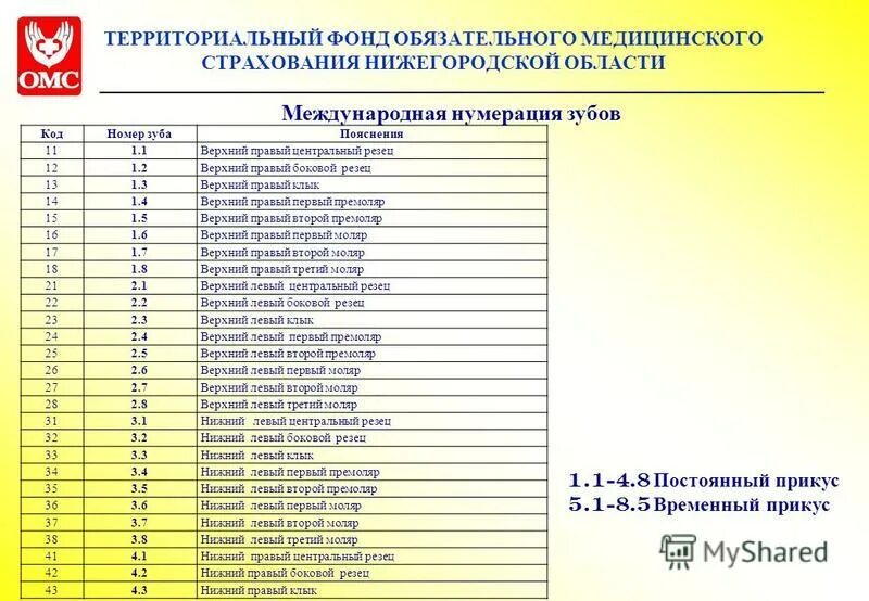 Сайт омс нижегородской области