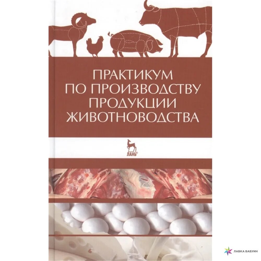 Продукция мясного скотоводства. Продукты животного происхождения. Продукты животноводства 3. Продукты животноводства 3. Продукты животноводства 3 класс окружающий.