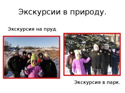 Тема экскурсий на природу