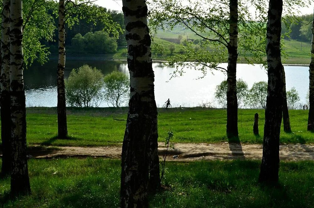 Картинки ЗНАМЕНСКАЯ РОЩА КУРСК