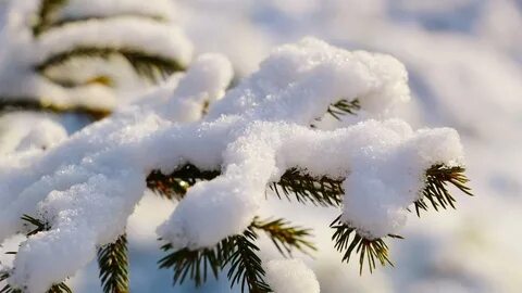Жұмыста бастықпен жыныстық қатынасты онлайн көріңіз