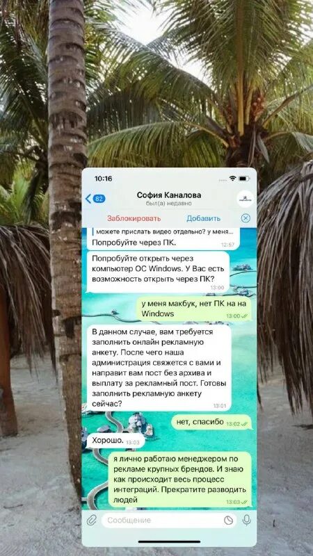 бушующий мир телеграмм