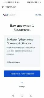 Проголосовать через госуслуги дег