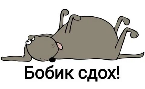 i?id=081f1b5f751f3d867bc90eb2955bf8947a6fffd1-5176523-images-thumbs&n=13