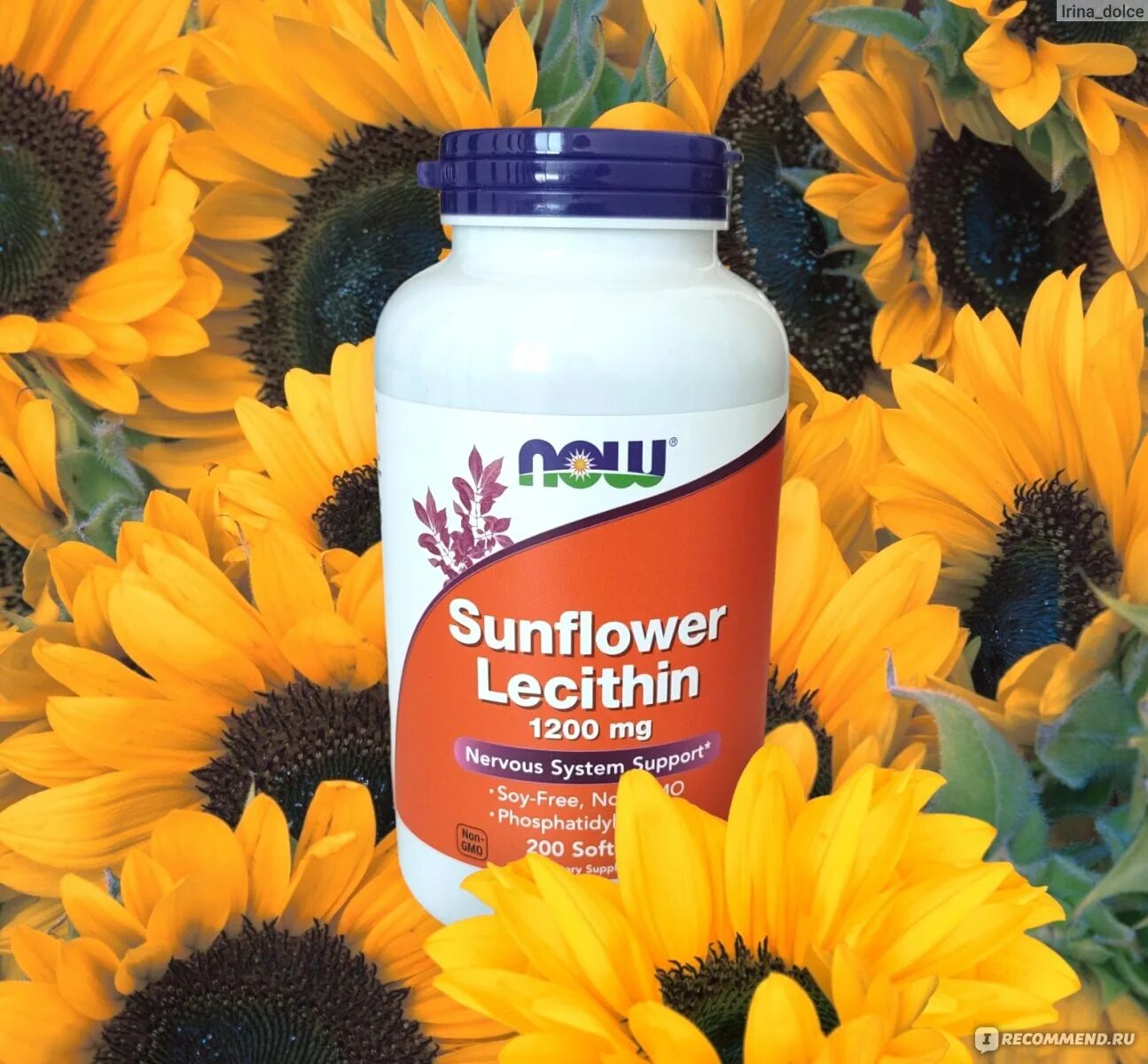 Now sunflower lecithin 1200 mg, 100 softgels. Лецитин в капсулах подсолнечный. Now foods, sunflower lecithin, 1200 мг. Now foods, sunflower lecithin, 1200 мг. Snt лецитин подсолнечника.