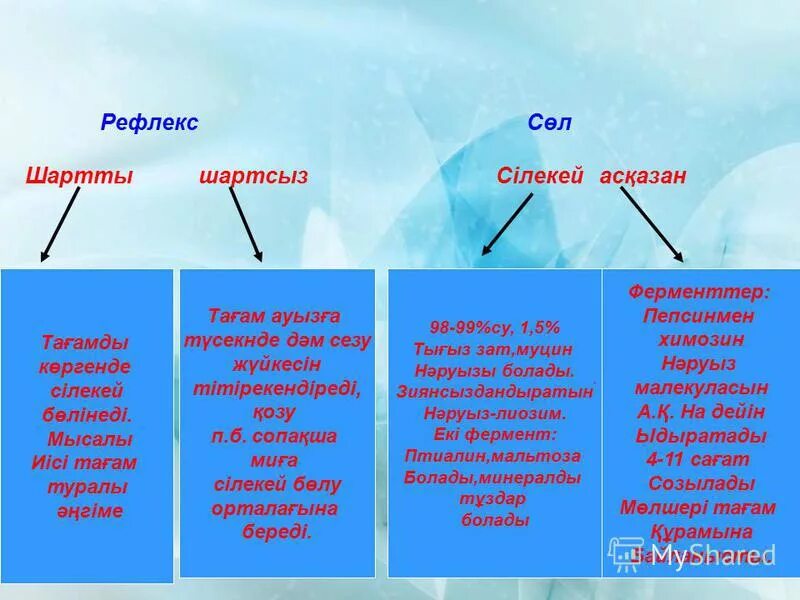 Шартты рефлекс. Шартсыз рефлекс. Рефлекс түрлері. Шартты рефлекс дегеніміз не. Шартты шартсыз рефлекс презентация.