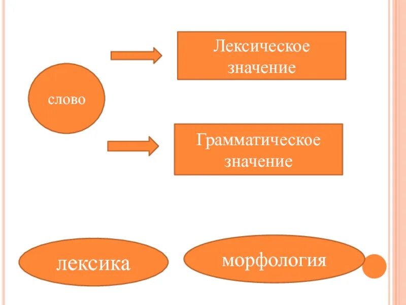 Лексическое и грамматическое значение слова. Лексика лексическое значение слова. Лексика лексическое и грамматическое значение слова. Лексическое и грамматическое значение примеры. Лексическое значение слова корить