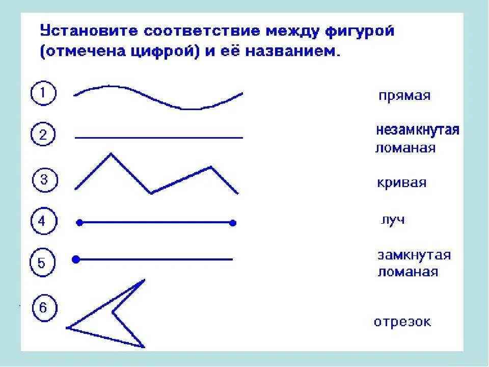 Линия точка ру. Название линий в математике. Геометрические линии и их названия. Названия кривых линий. Прямая кривая ломаная для дошкольников.