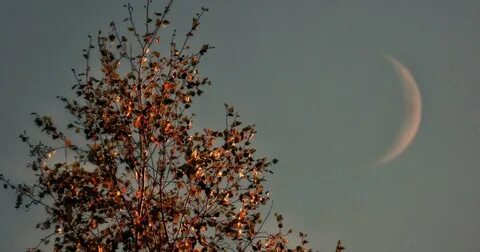 Луна сегодня апрель