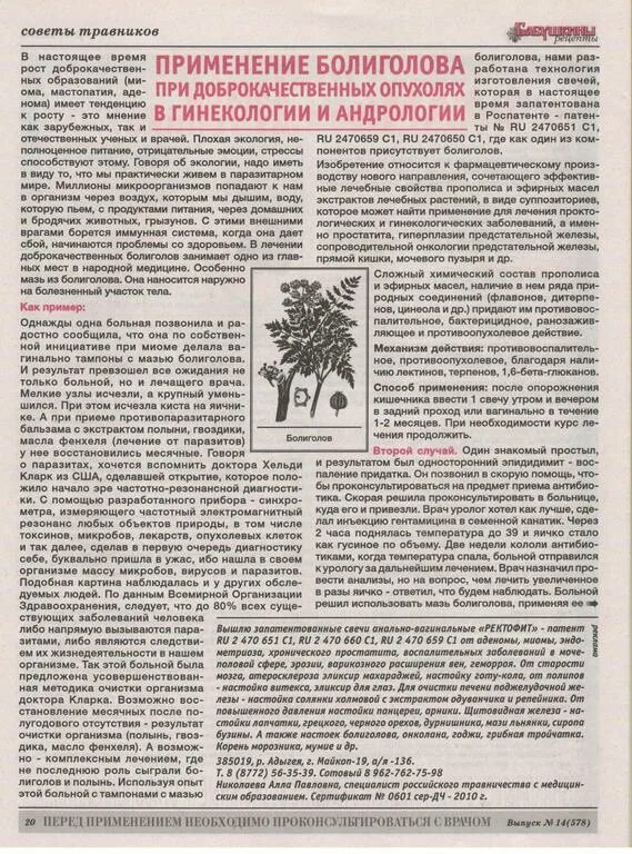 Болиголов отзывы врачей. Трава болиголов при онкологии. Настойка травы болиголова. Болиголов схема. Растение болиголов от онкологии.