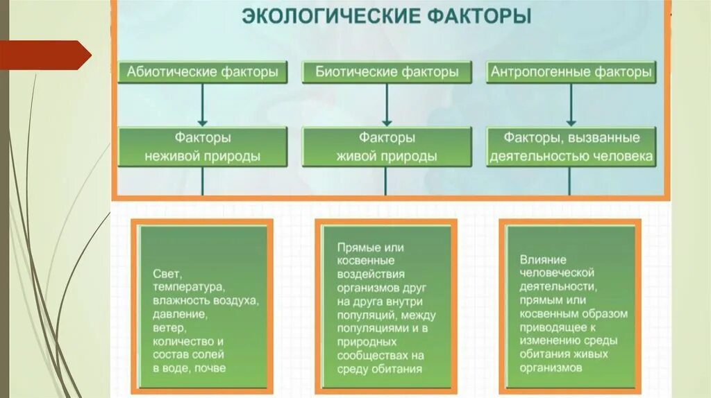 Экологические факторы среды презентация 9 класс. Экологические факторы среды 5 класс биология. Экологические факторы 5 класс биология. Группы экологических факторов схема. Характеристики экологических факторов 5 класс.