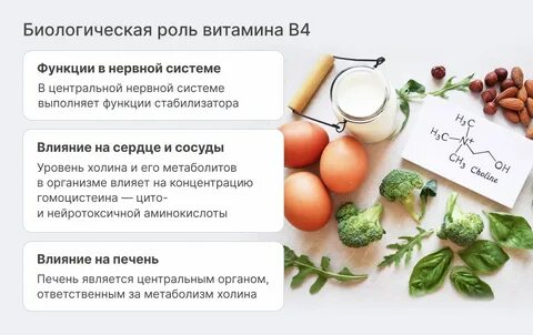 Холин в каких продуктах