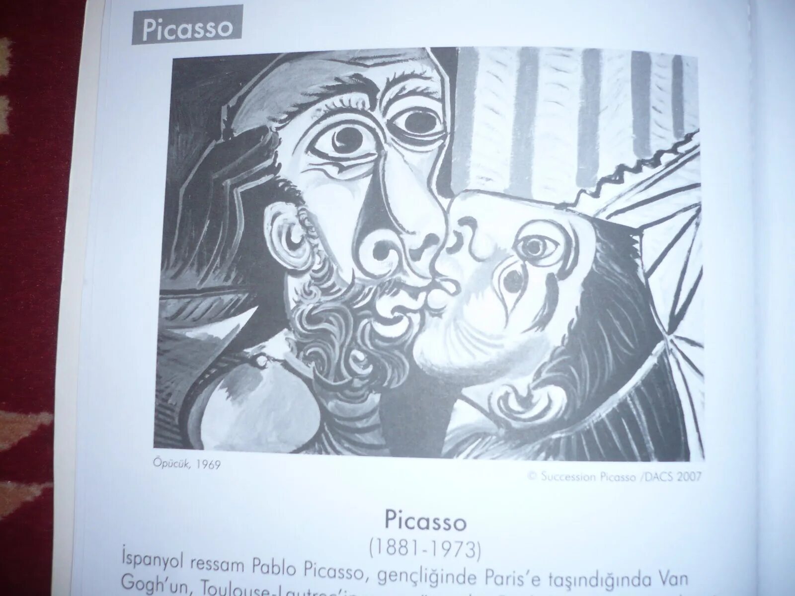 Picasso viewer. Picasso viewer