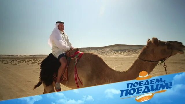 Поедем поедим бурятия. Поедем поедим в Катаре. Поедем поедим Тунис. Катаемся на лошади в программе поедем поедим. Поедим поедим гостиница в пустыне сахара.