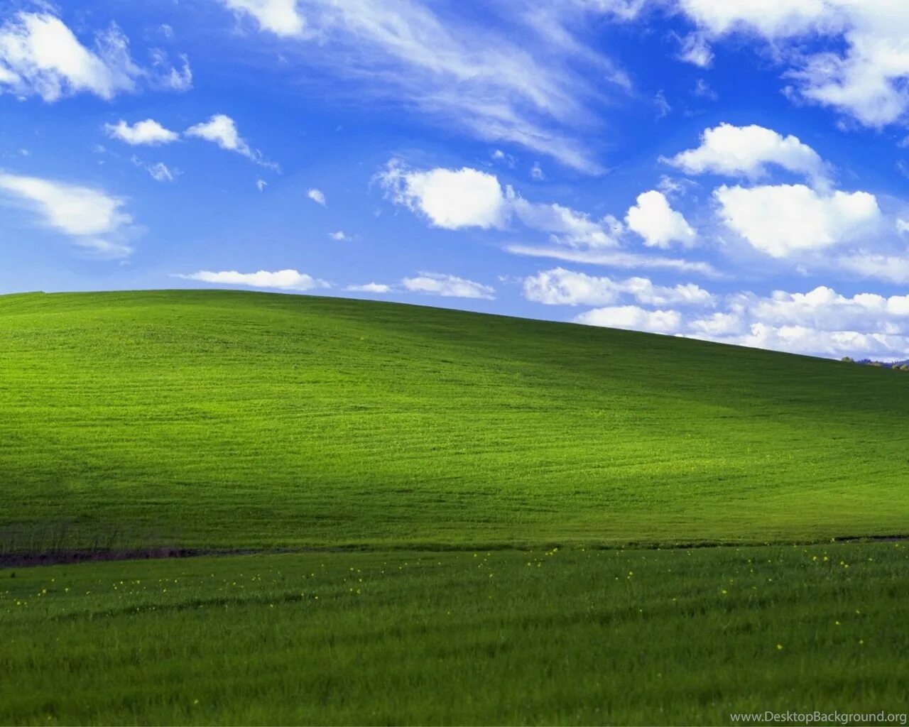 1024 x 8. Заставка безмятежность. Обои Windows XP. Фон виндовс. Фон Windows XP.