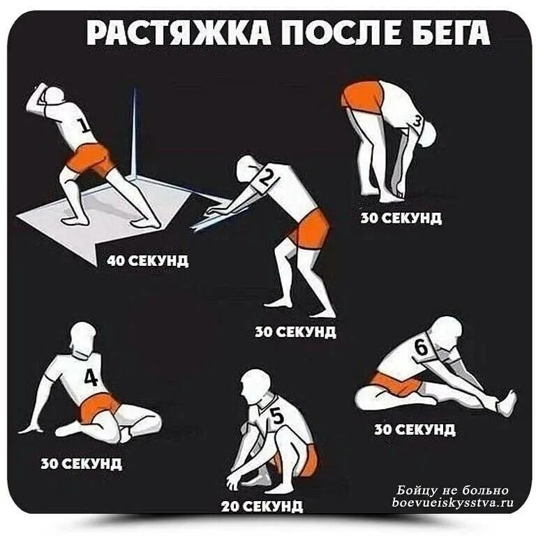 Тренировка мышц для начинающих