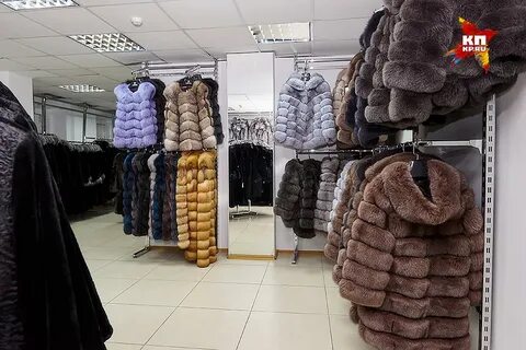 Каталог бузулука