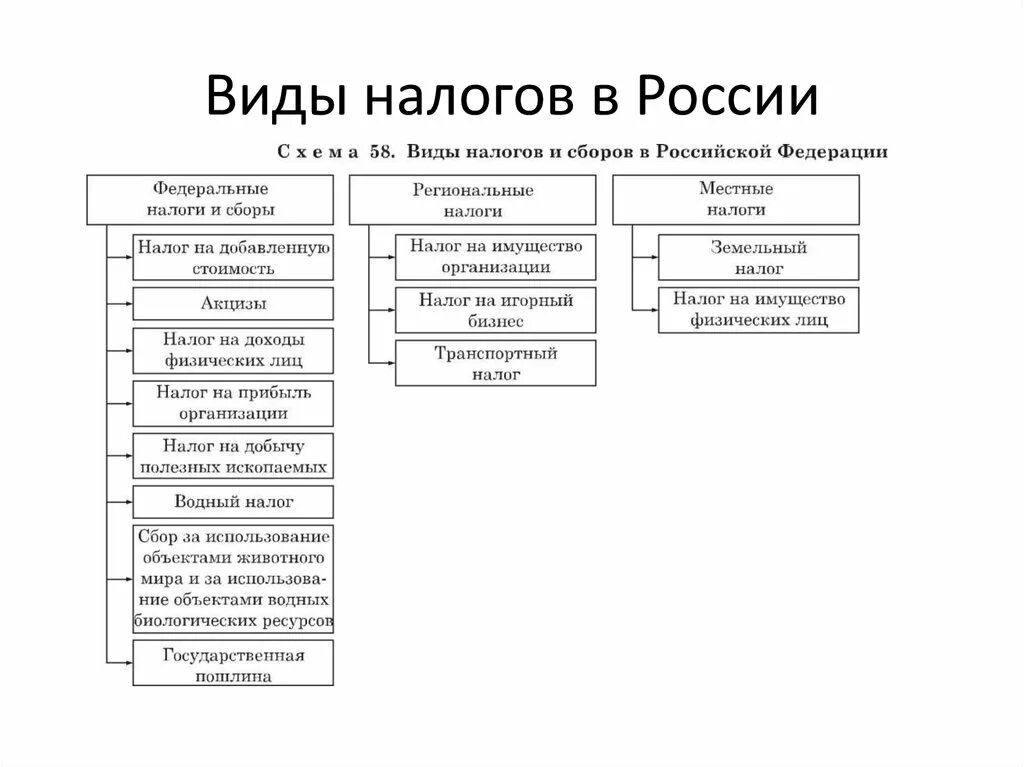 Составьте схему виды налогов. Виды налогов в РФ схема. Виды налогов и сборов в РФ таблица. Виды налогов в РФ таблица.