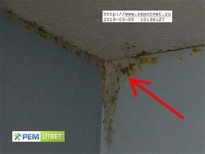 гипсокартонная стена. гипсокартонный лист структура. альтернатива гипсокартону для стен. разновидности гипсокартона. влияние микроклимата на здоровье человека.