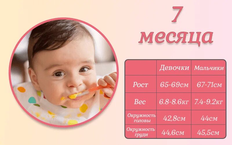 Составит 7 6 месяцев