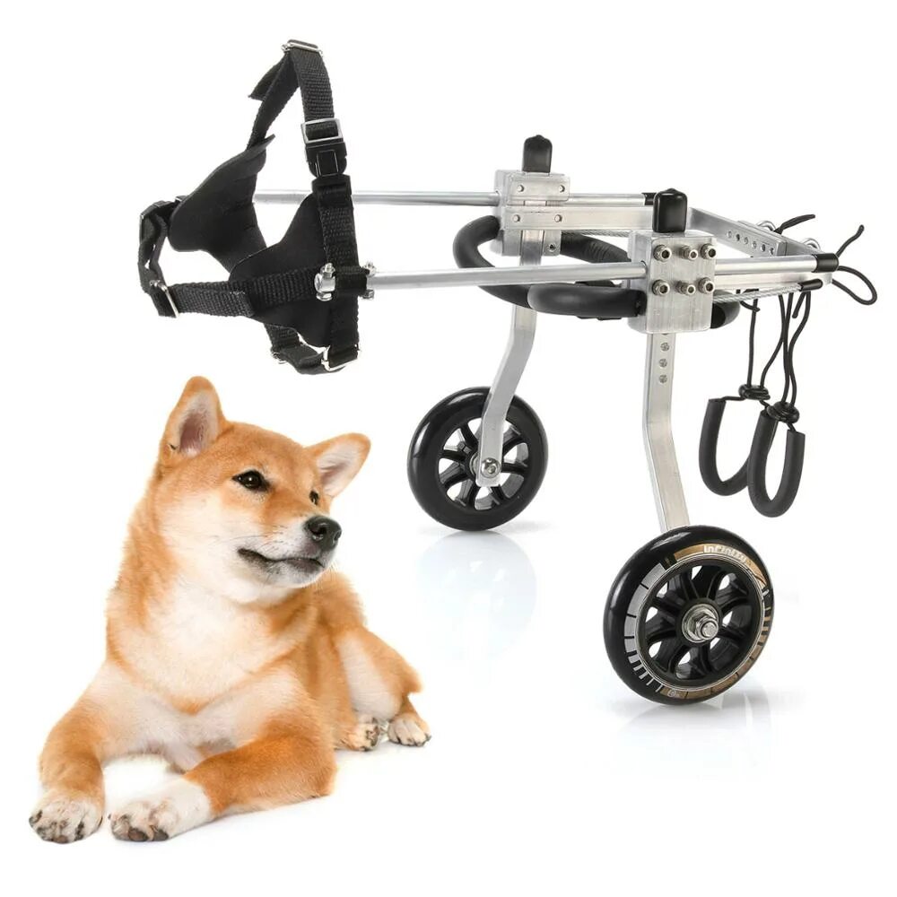 Коляска для собак на задние лапы. Инвалидная коляска для собак Walkin Wheels. Складная инвалидная коляска для собак Walking Dog. Коляска Квадро для собак инвалидная. Инвалидная коляска для соба.