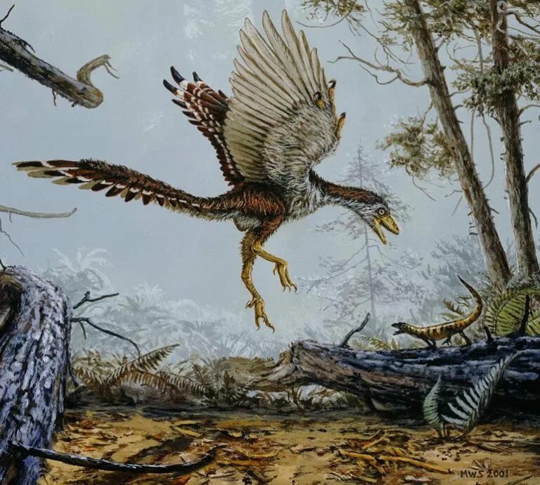 мезозойская эра археоптерикс. древние птицы археоптерикс. мезозойская эра археоптерикс. мезозойская эра триасовый юрский. археоптерикс динозавр.