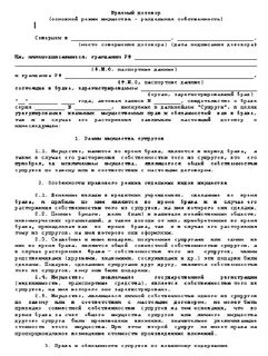 Договор о раздельном имуществе